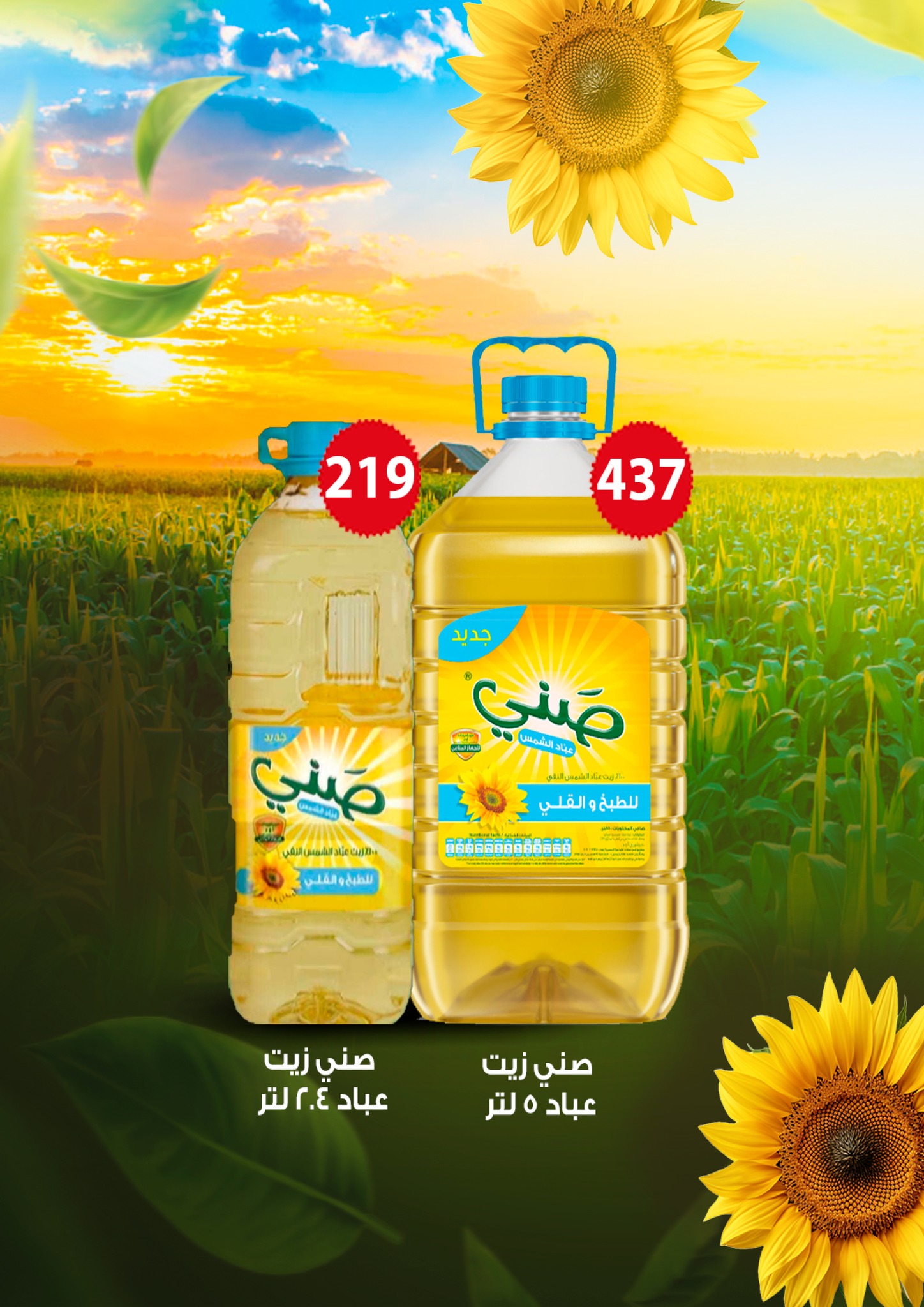 fathalla offers from 24jun to 2jun 2025 عروض فتح الله من 24 يونيو حتى 2 يونيو 2025 صفحة رقم 11